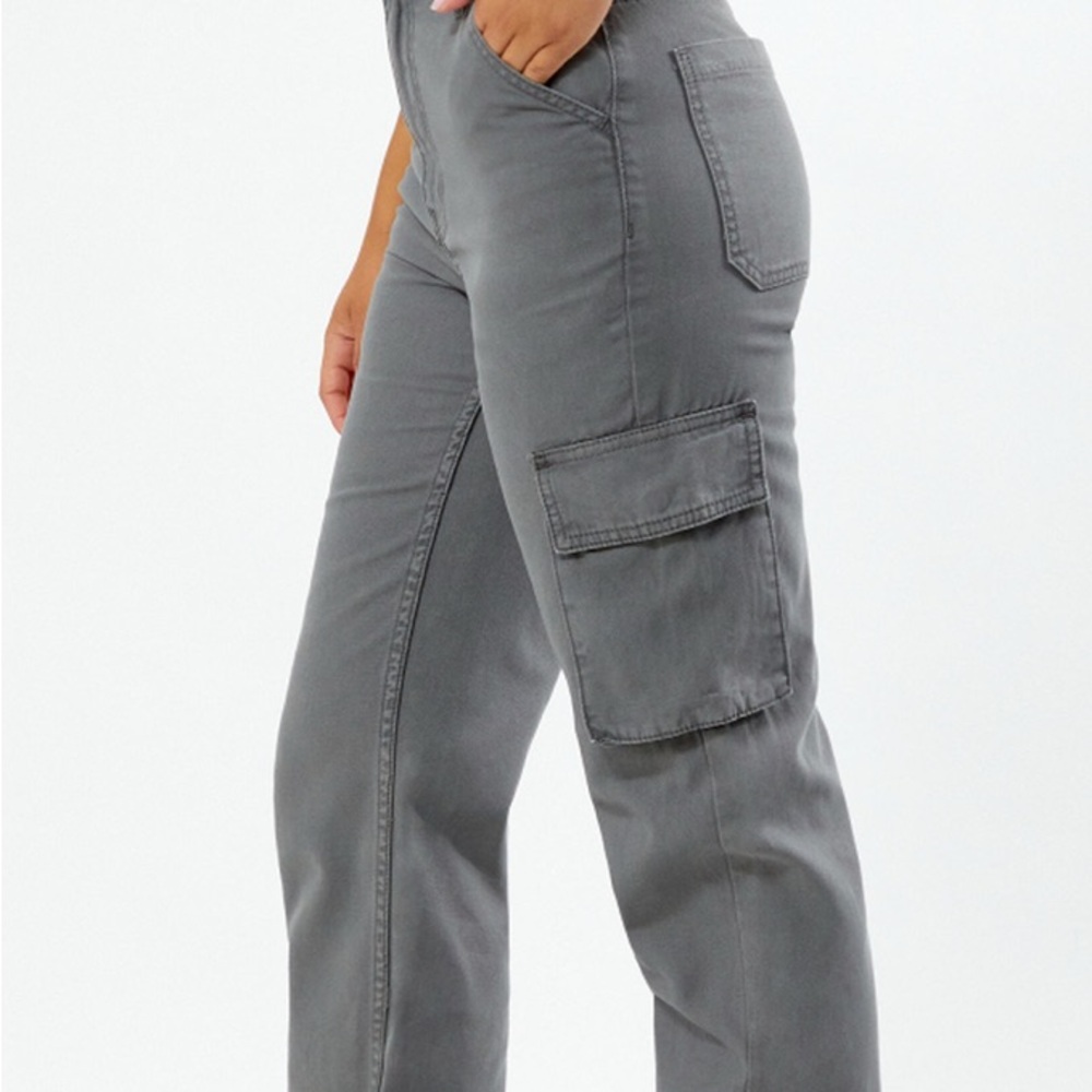 Gray Cargo Pants (PacSun)